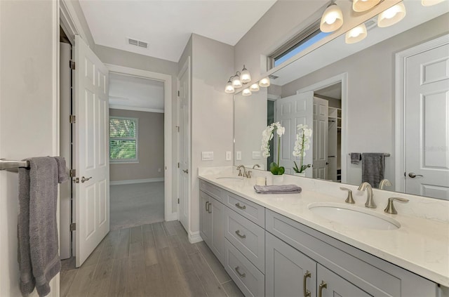 bathroom with vanity and wood-type flooring