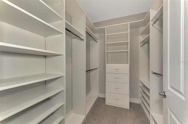 walk in closet featuring carpet