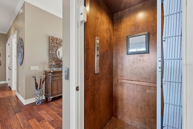 hallway with ornamental molding, elevator, and dark wood-type flooring