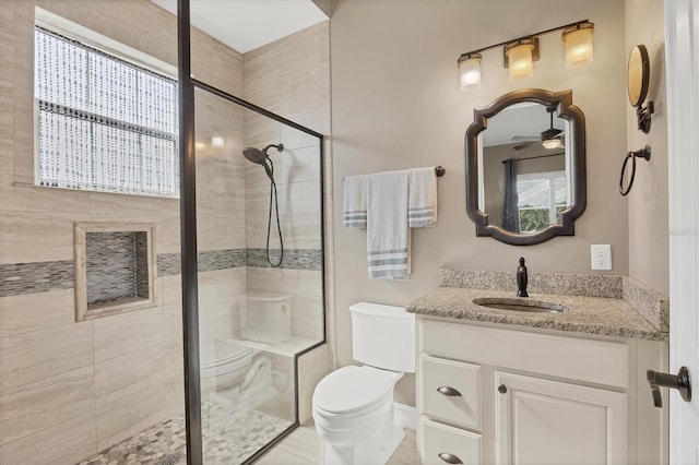 bathroom with a wealth of natural light, toilet, vanity, and walk in shower