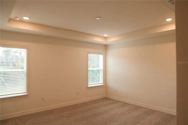 carpeted spare room featuring a tray ceiling and plenty of natural light