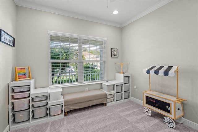 living area featuring light colored carpet and ornamental molding