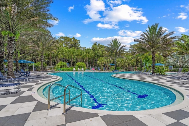 view of pool featuring a patio area