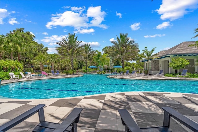 view of swimming pool featuring a patio