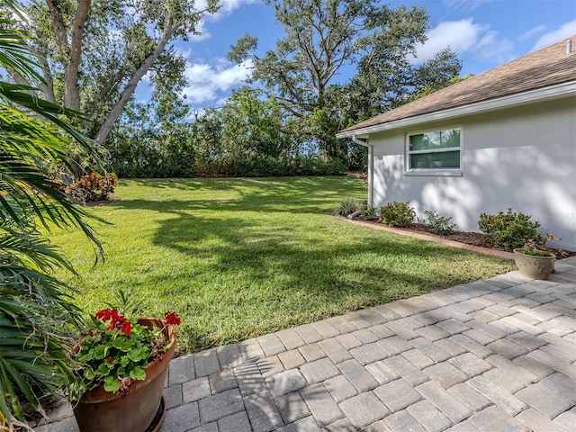 view of yard with a patio area