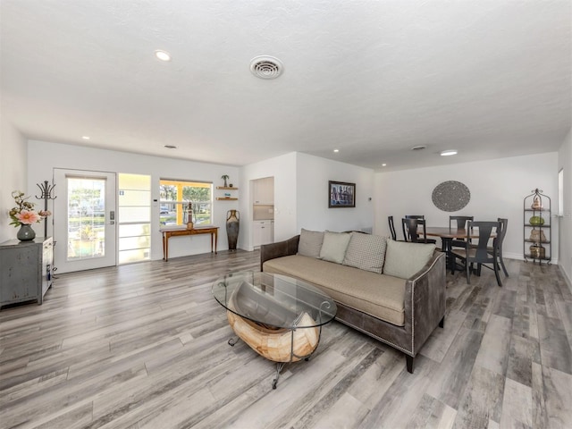 living room with light hardwood / wood-style floors