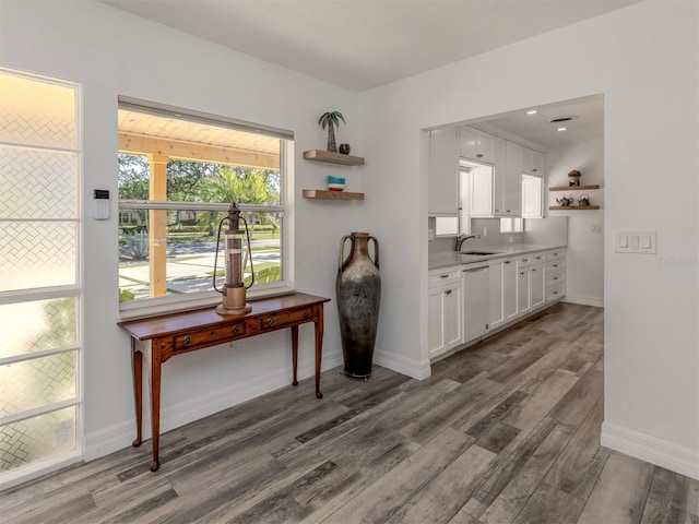 interior space with wood-type flooring and sink