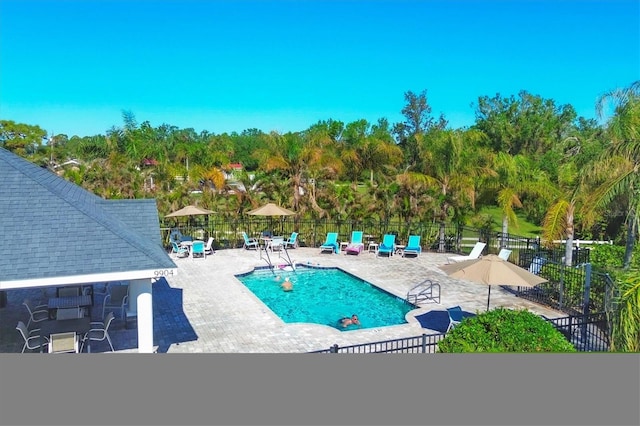 view of swimming pool with a patio