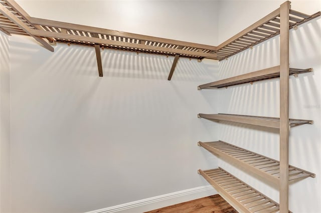 spacious closet with wood-type flooring