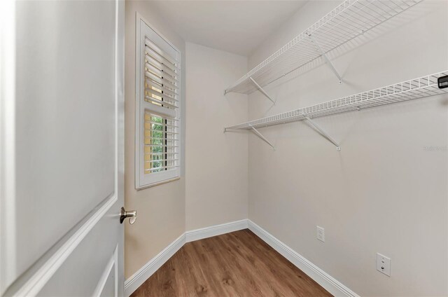 walk in closet featuring hardwood / wood-style floors