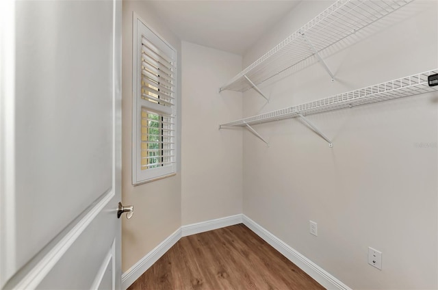 830 The Esplanade N Unit 203, Venice, FL 34285 - walk in closet featuring wood finished floors