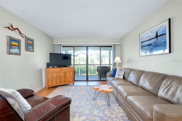 living room featuring light hardwood / wood-style floors