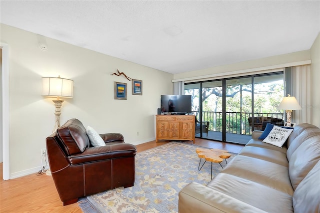 living room featuring wood-type flooring