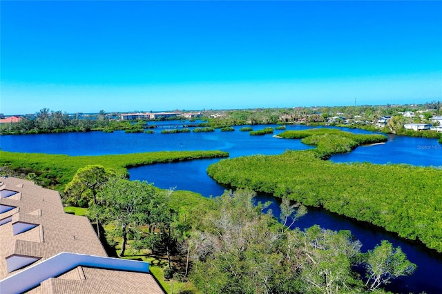 aerial view with a water view