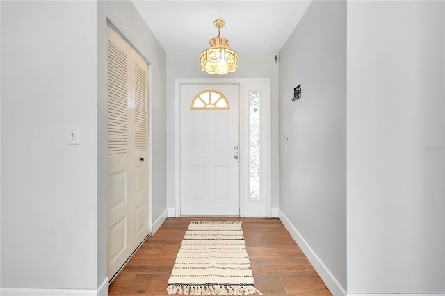 entrance foyer with wood-type flooring