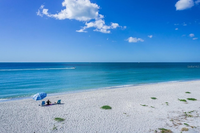 water view featuring a beach view