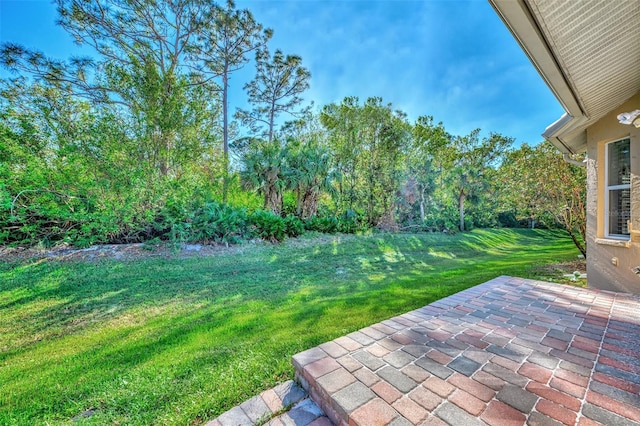 view of yard featuring a patio area