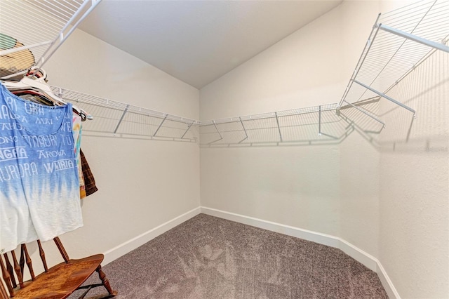 walk in closet with carpet