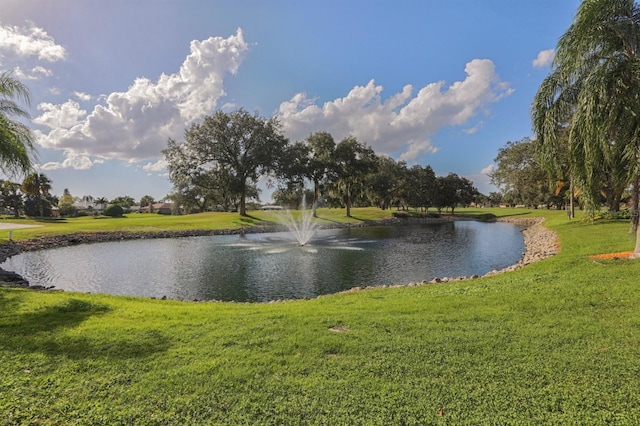 property view of water