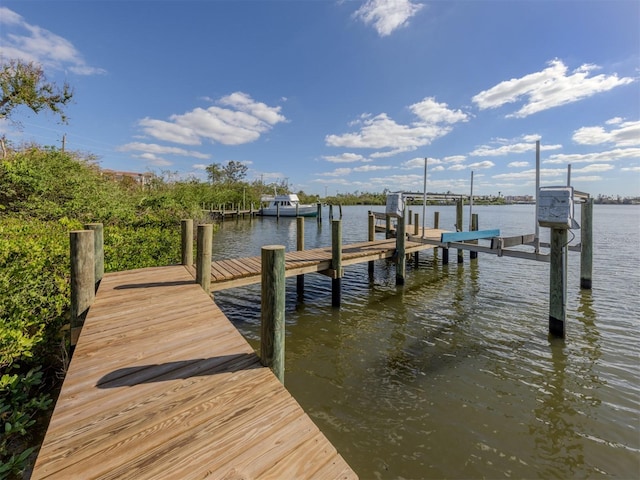 dock area with a water view