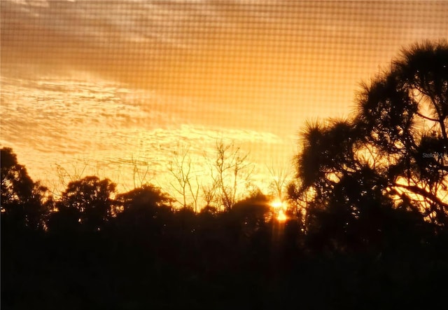 view of nature at dusk