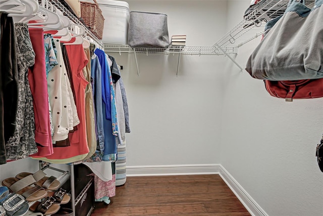 spacious closet featuring wood-type flooring