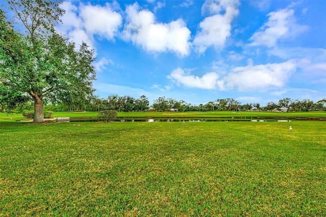 view of yard featuring a water view