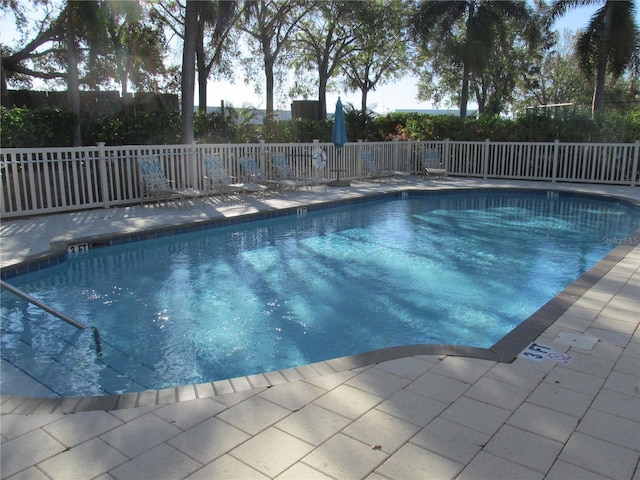 view of swimming pool with a patio