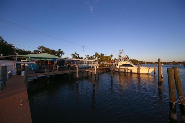 dock area with a water view