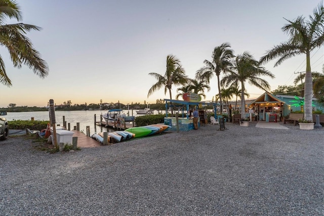 dock area with a water view