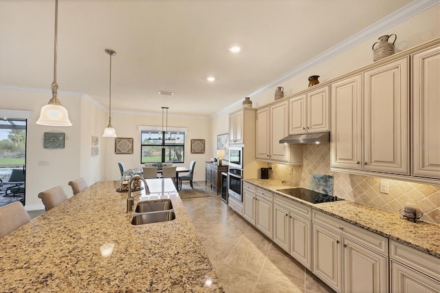 kitchen featuring crown molding, sink, decorative light fixtures, and appliances with stainless steel finishes