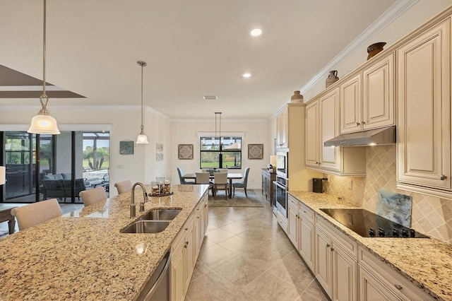 kitchen with a wealth of natural light, sink, pendant lighting, and appliances with stainless steel finishes