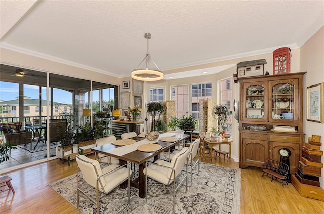 dining area with a textured ceiling, ceiling fan, light wood-type flooring, and ornamental molding