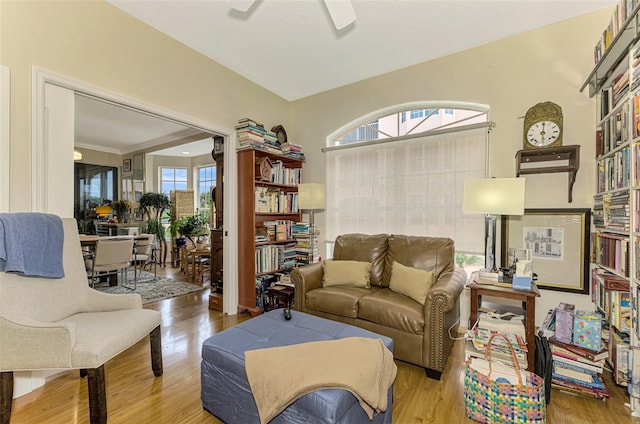 living room featuring ceiling fan and light hardwood / wood-style flooring