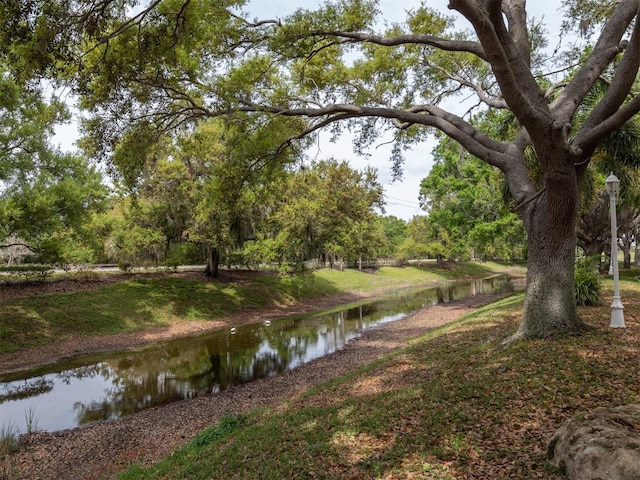 view of home's community featuring a water view