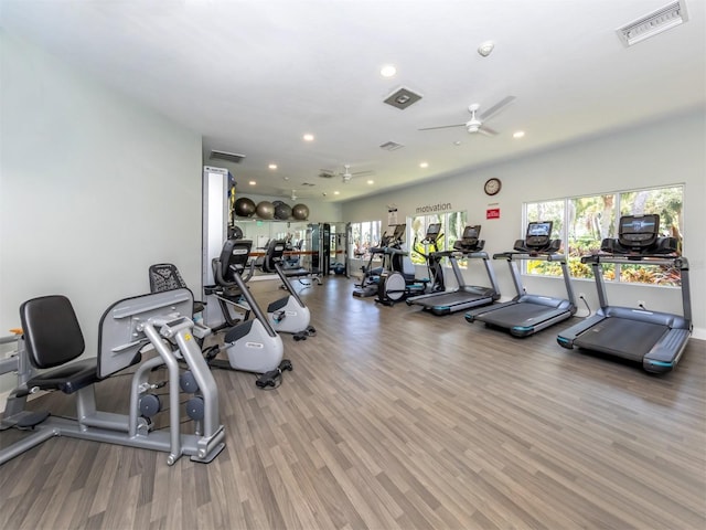 workout area with ceiling fan and hardwood / wood-style floors