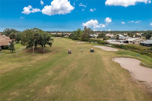 bird's eye view