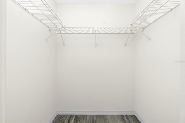 walk in closet featuring dark wood-type flooring