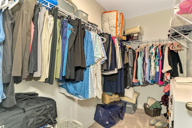 walk in closet featuring carpet flooring