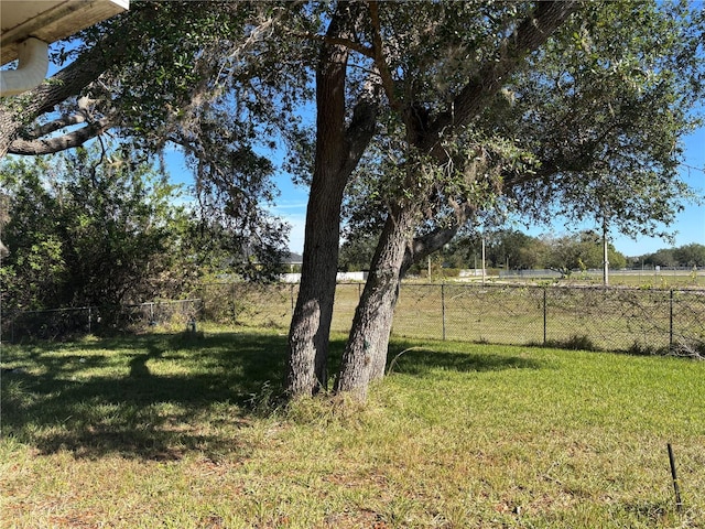 view of yard with a rural view