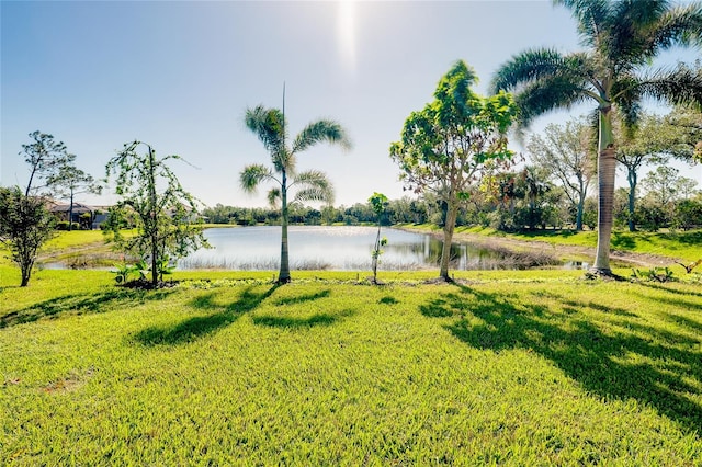 view of yard featuring a water view