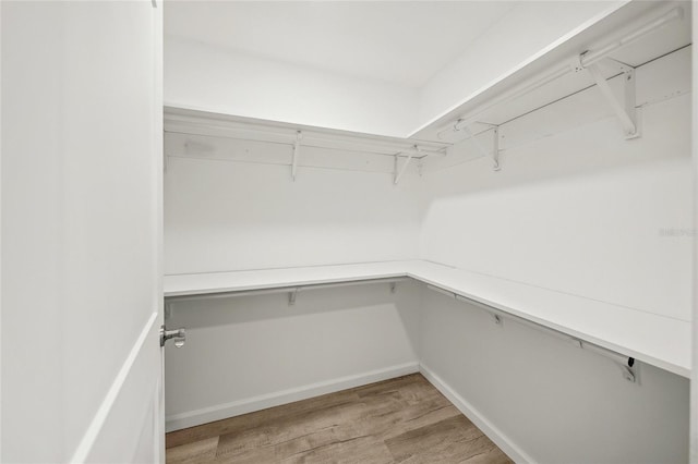 spacious closet featuring light wood-type flooring