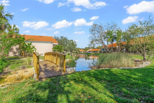 dock area with a water view and a yard