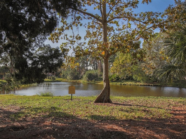 view of water feature