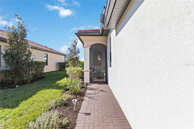 property entrance featuring a yard