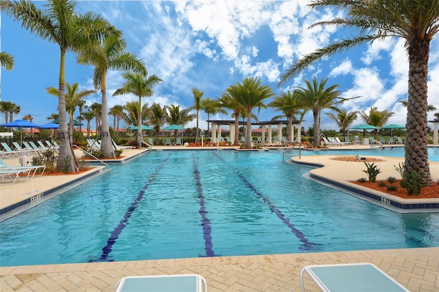 view of swimming pool