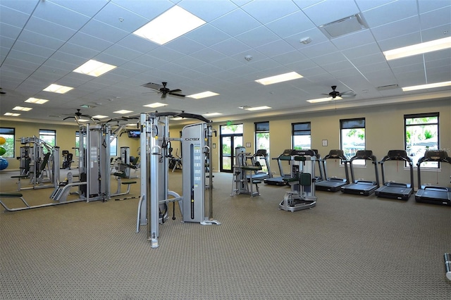 gym featuring ceiling fan, a drop ceiling, and carpet