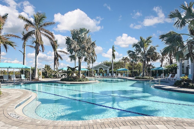 view of pool with a patio area