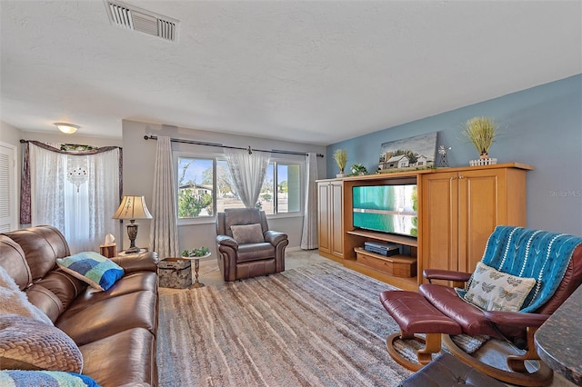 living room featuring a textured ceiling