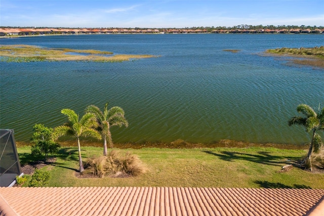 drone / aerial view with a water view